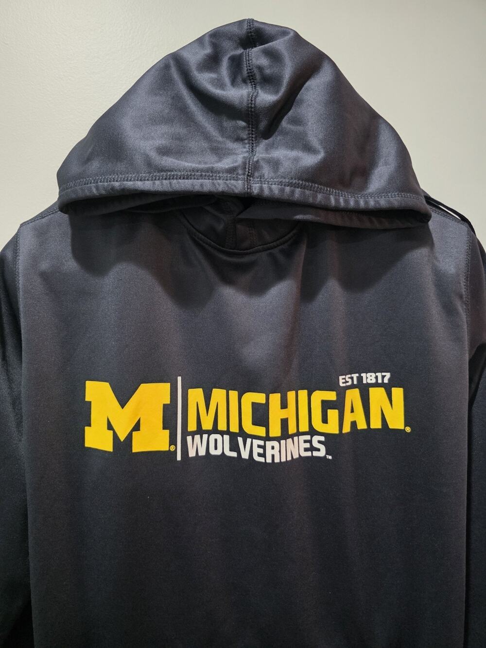 Michigan Wolverines Hoodie Men’s Large Navy Maize NCAA Pullover UofM